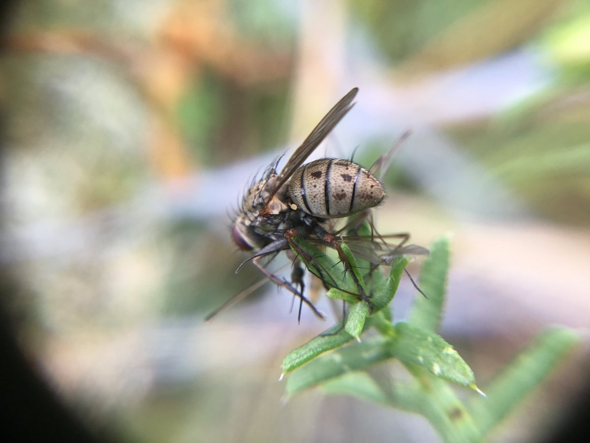 Jay Dubois tweet media