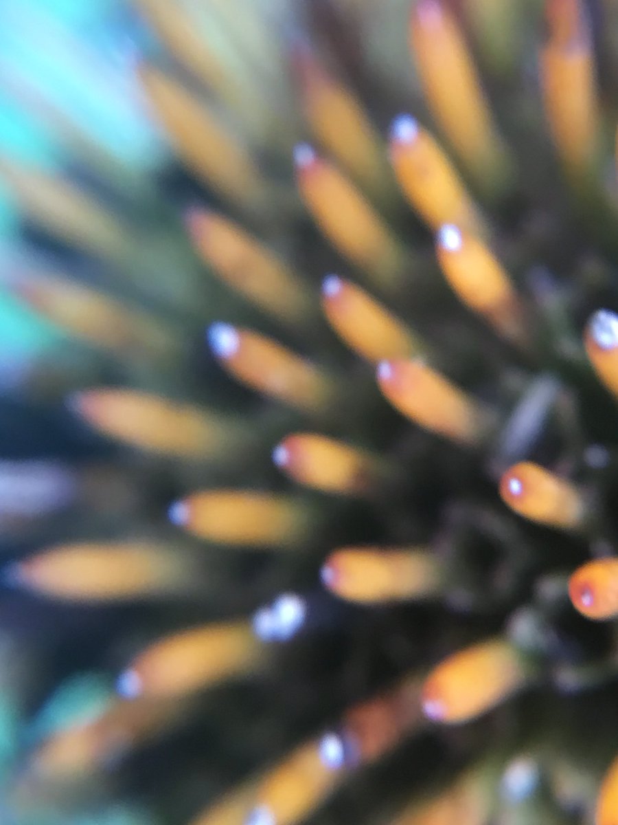 Jay Dubois tweet media