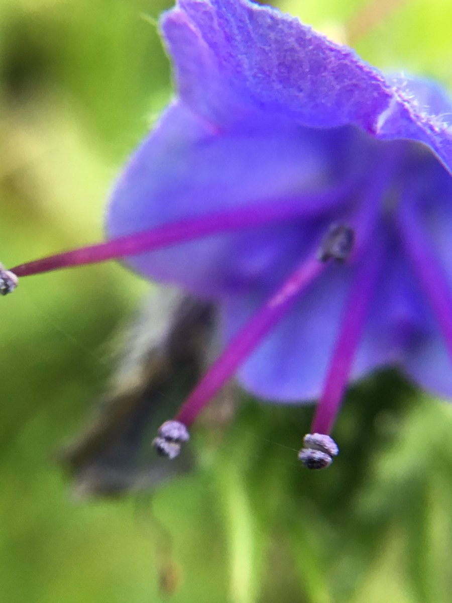 Jay Dubois tweet media