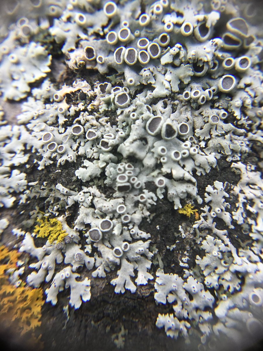 Jay Dubois tweet media