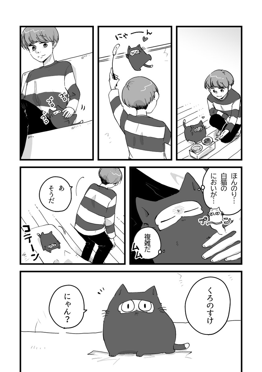 猫から見た猫の世界のお話(4/5) 