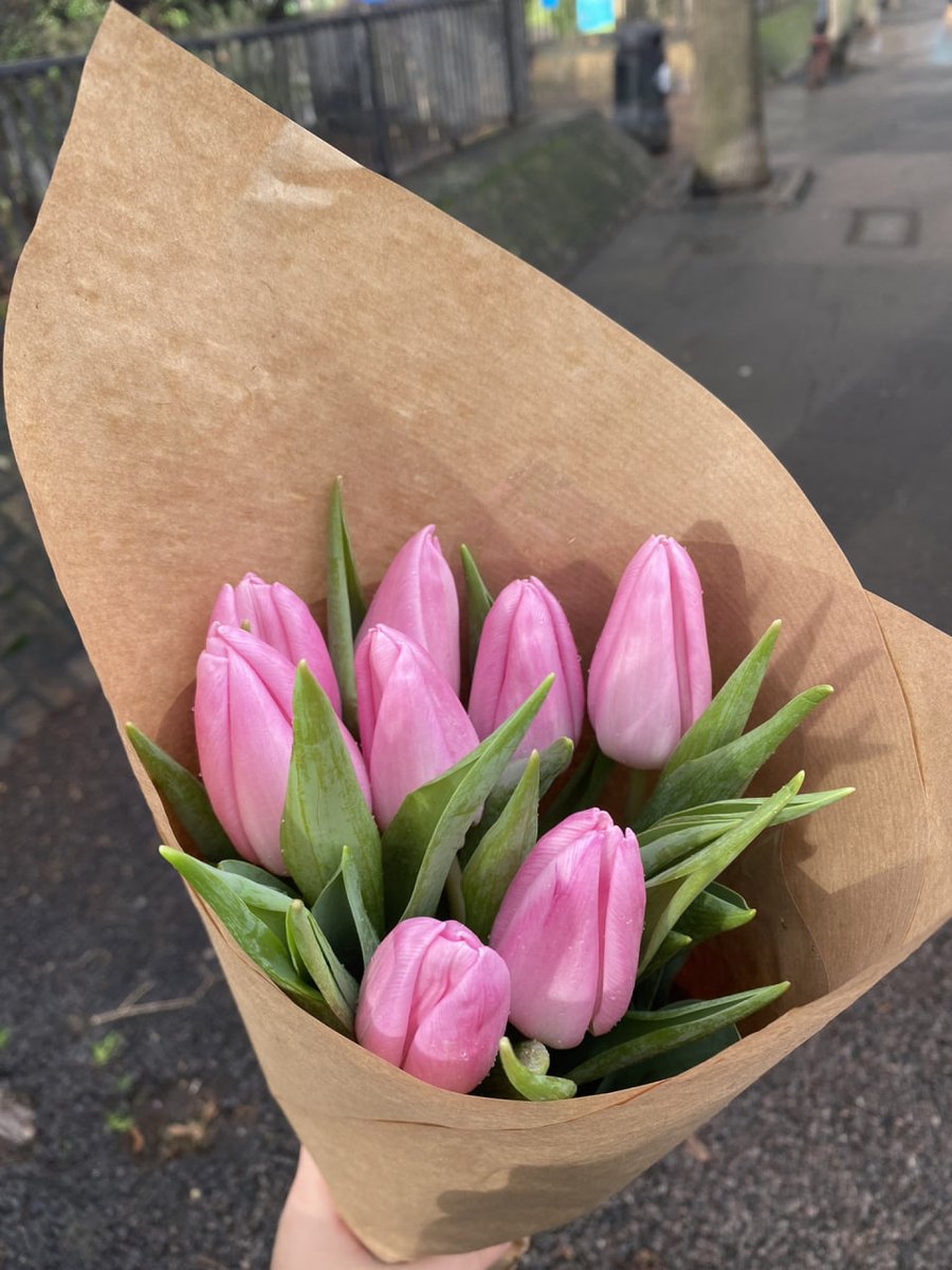 Image_Clan's tweet image. Today, I went to buy flowers with my friend👭My friend bought her some sunflowers that she likes🌻I bought a bouquet of tulips, which represent love🌷(Pink tulips symbolize happiness and confidence)