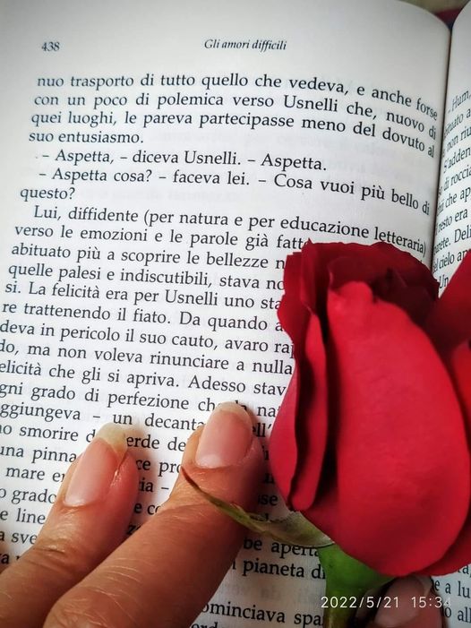 Silcannon's tweet photo. Lui, diffidente (per natura e per educazione letteraria) verso le emozioni e le parole già fatte proprie da altri, abituato più a scoprire le bellezze nascoste e spurie che quelle palesi e indiscutibili, stava nondimeno a nervi tesi.
#italocalvino L'Avventura di un #poeta https://t.co/PdlzixO2ph