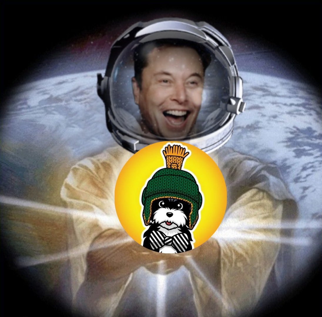 nunuu2864's tweet photo. @100xAltcoinGems $Marvin next #1000x gem https://t.co/CQNkCyb6dd
