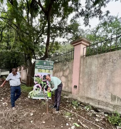 GSTnavimumbai's tweet photo. As part of Swachhta Hi Seva (SHS) Pakhwada 2023, the officials and staff of CGST Navi Mumbai undertook  a tree plantation drive at the upcoming department’s office premises located in Bhandup, Mumbai 🌱 #SwachhBharat #SHS2023 @SwachhBharatGov @SwachhBharat @PMOIndia @cbic_india https://t.co/qIFSFHkBsz