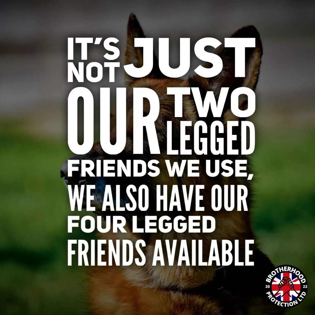 BHProtection's tweet image. Our new static and patrol dog team is ready to meet your needs. #Security #DogTeam #DogPatrol #DogProtection #Leeds #Manchester #Birmingham #Oxford #London #Kent #MiltonKeynes #Chester #Liverpool #Glasgow #Northampton #Newcastle #Essex #Edinburgh  #Nottingham #Cardiff #Wales