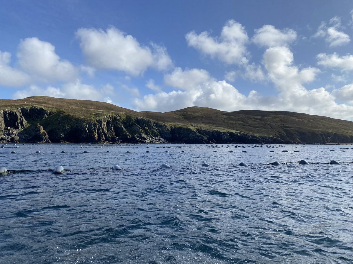 CoopAgriMatters's tweet photo. Katie &amp; Zoe’s Shetland adventure! They have visited an @MSCintheUK  approved mussel farm with @scott_shellfish seeing production from farm to fork. It’s amazing to see how sustainable seafood is helping us enjoy delicious, ocean friendly meals! #MSC #SustainableSeafoodSeptember https://t.co/0Ll6T5shpZ