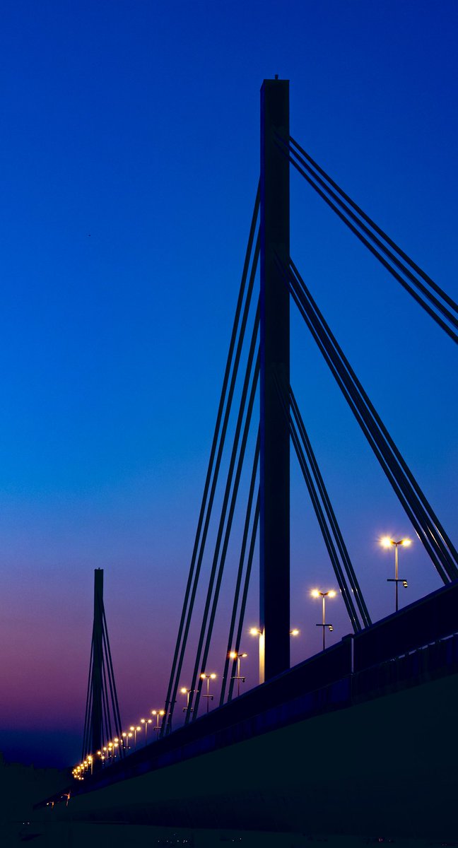 Marko Bogdanović tweet media