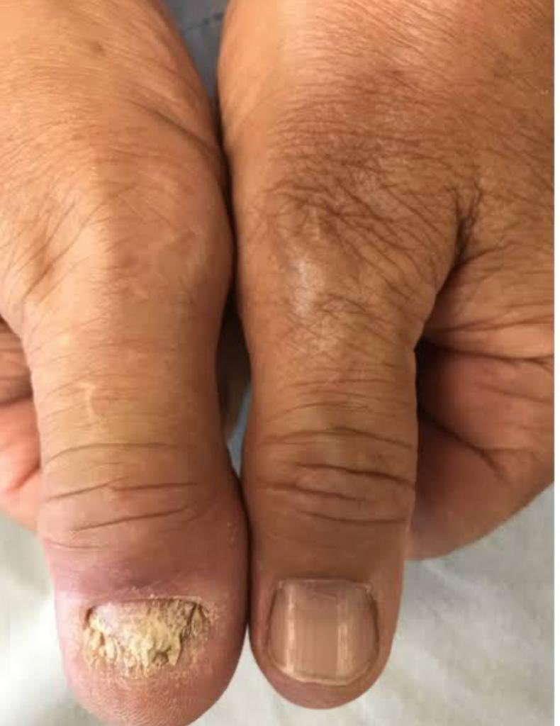 Jasmine Sethi tweet media