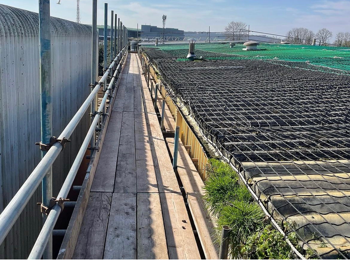 Dragon Cladding Ltd tweet media