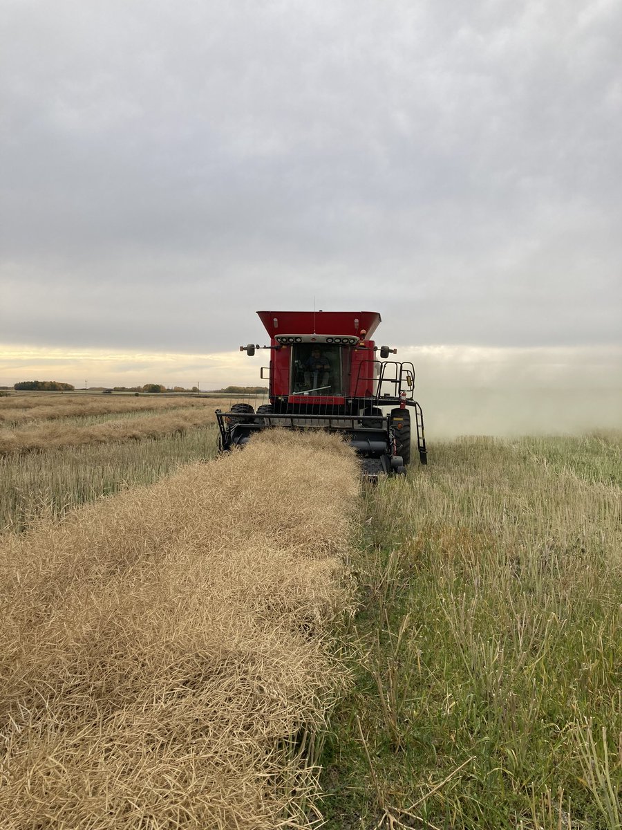 Bob Stokes tweet media