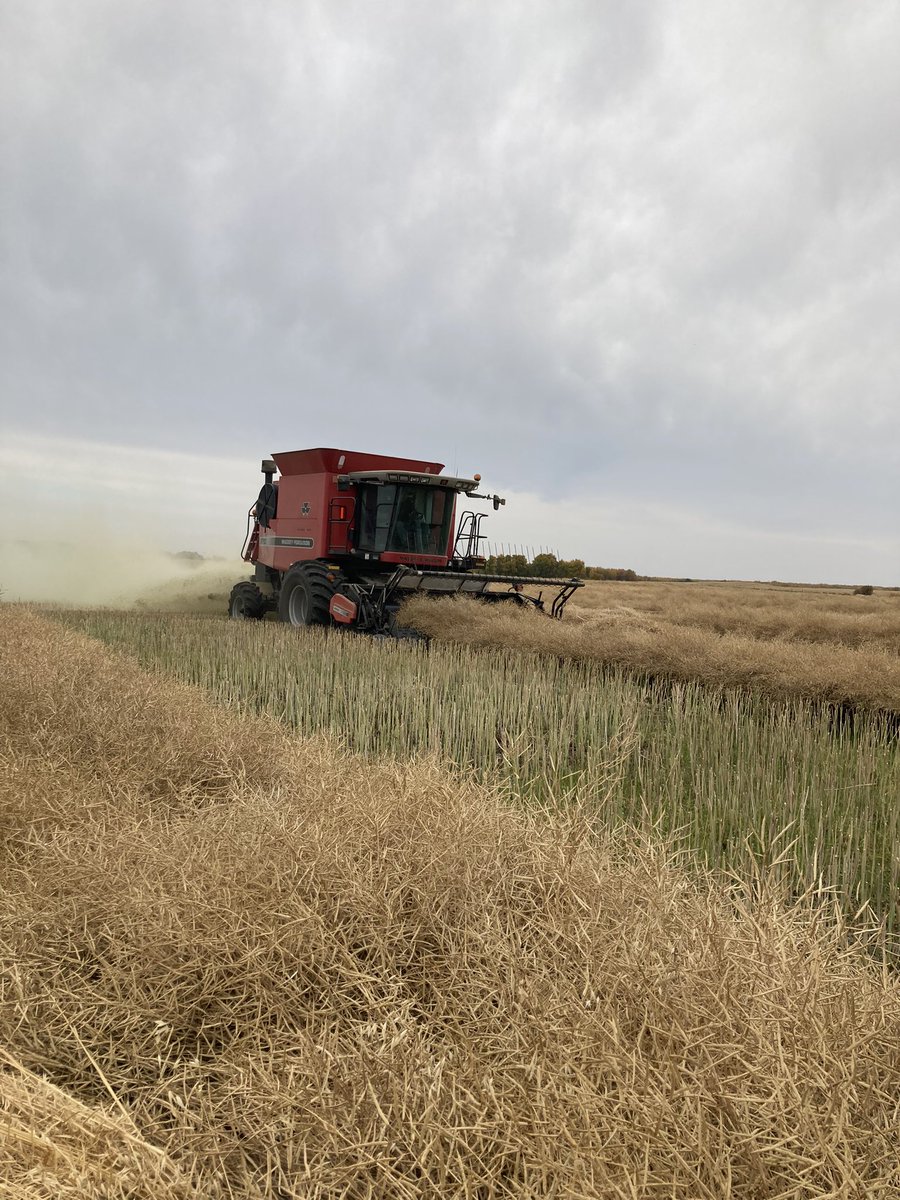 Bob Stokes tweet media