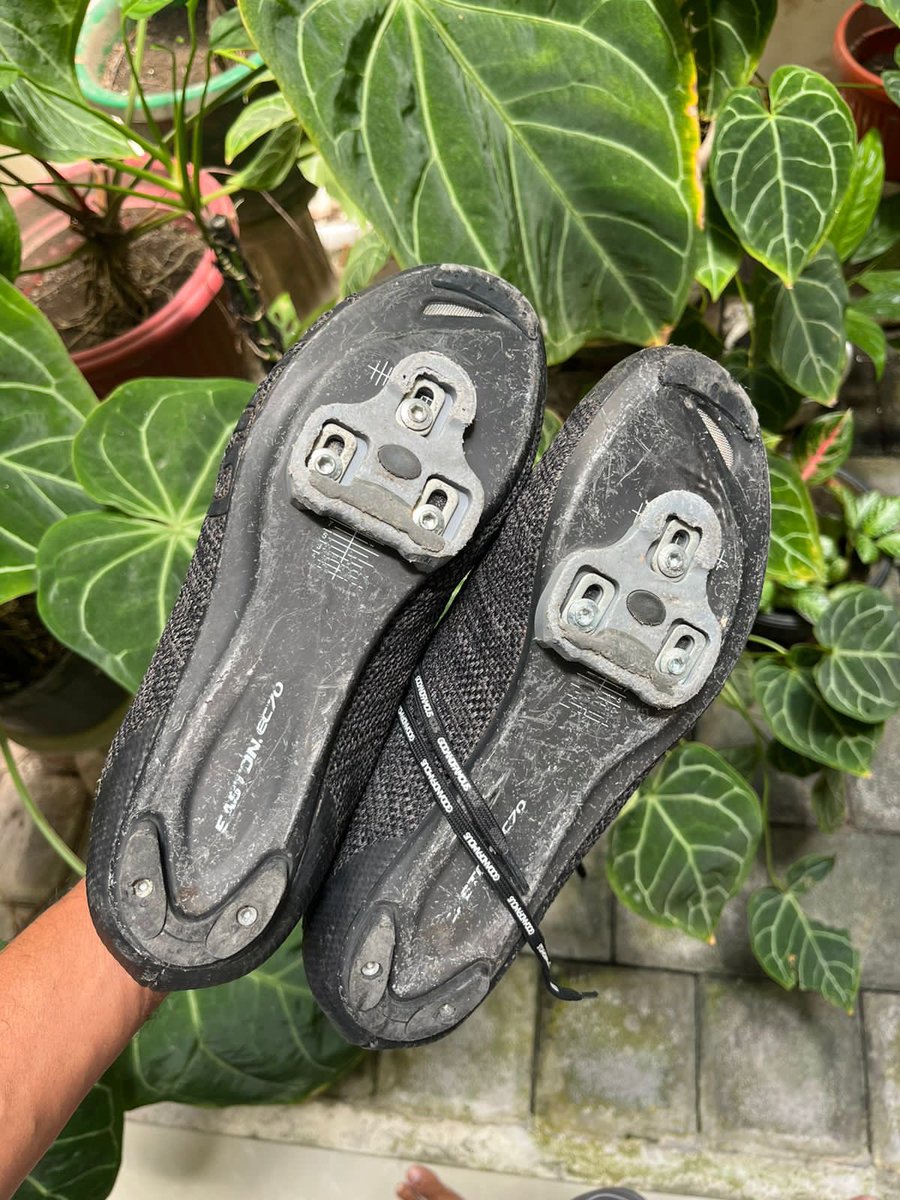 Teguuh_'s tweet photo. #fnfjb wts sepatu giro sz 43 1.5 pass nett 081246411965 https://t.co/oXGYKrUZk6