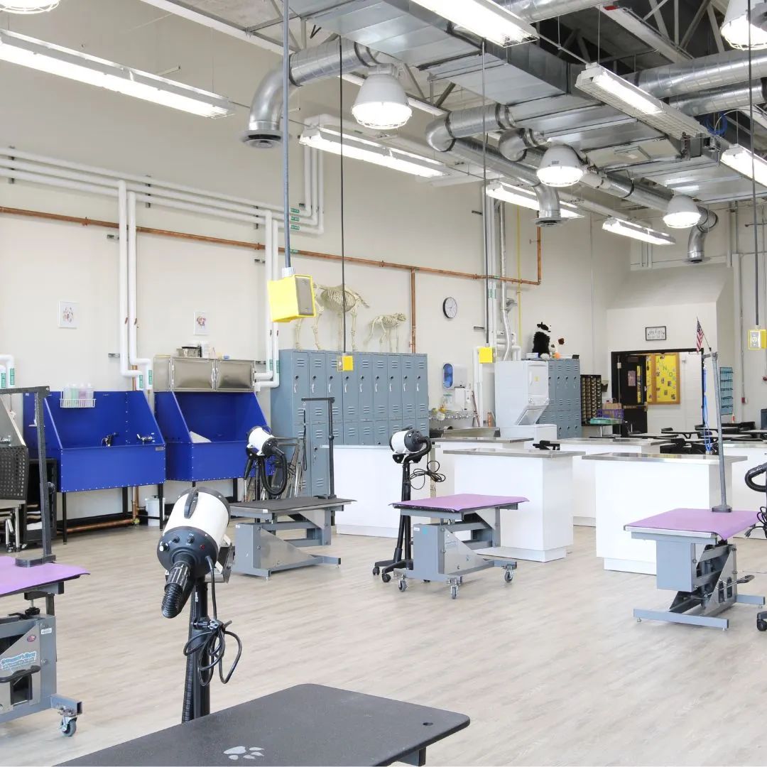 YoungWrightArch's tweet photo. Exciting news from @Erie1BOCES Kenton Career and Technical Center! 🌟 They’ve unveiled their revamped spaces, including a new Animal Science Lab, Exercise Science Lab, Electrical Lab, and enhanced safety measures in the renovated Main Office.
Photos by: Michaele-Ann Palmer https://t.co/fz3g5yccbd