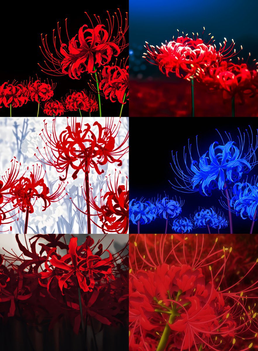 “Everyone loves flowers”

The flowers :