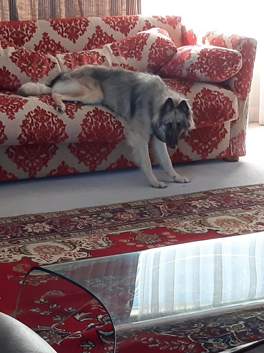 Wut?