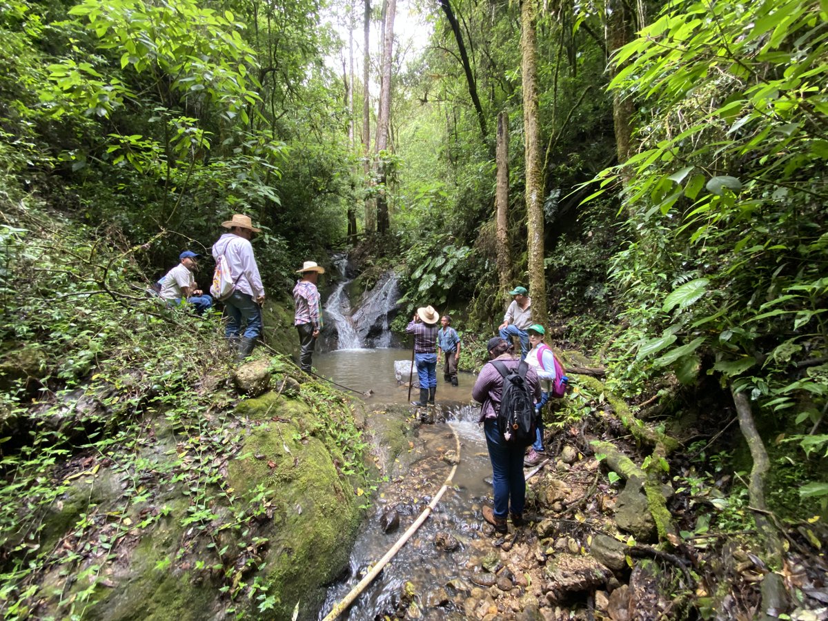 BiovIntCIAT_esp's tweet photo. Descubre cómo #AguadeHonduras está facilitando el ordenamiento territorial y la gestión del recurso hídrico de la región, reafirmando el compromiso de los diferentes socios estratégicos con la gobernanza hídrica desde las comunidades💧
https://t.co/M3dJ2XUeMY 
#DRGH #DNCC #COSUDE https://t.co/Ub9P0w1vbK