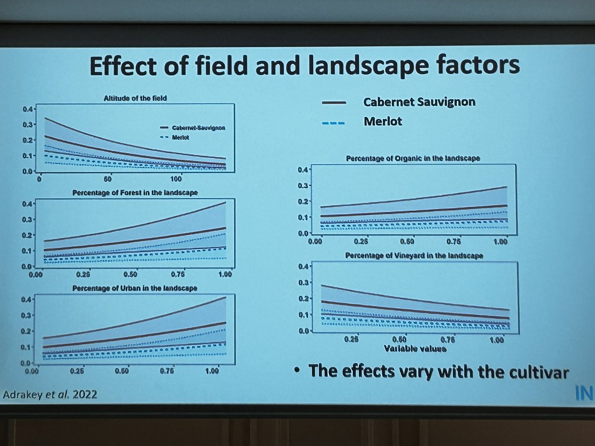 GianfRomanazzi's tweet photo. Sylvie #Malembic-#Maher report that the infection of #Flavescence #doreé mediated by #Scaphoideus #titanus in #French #vineyards occurs more frequently within 12 meters #ICVG2023 https://t.co/gihM1luQi5