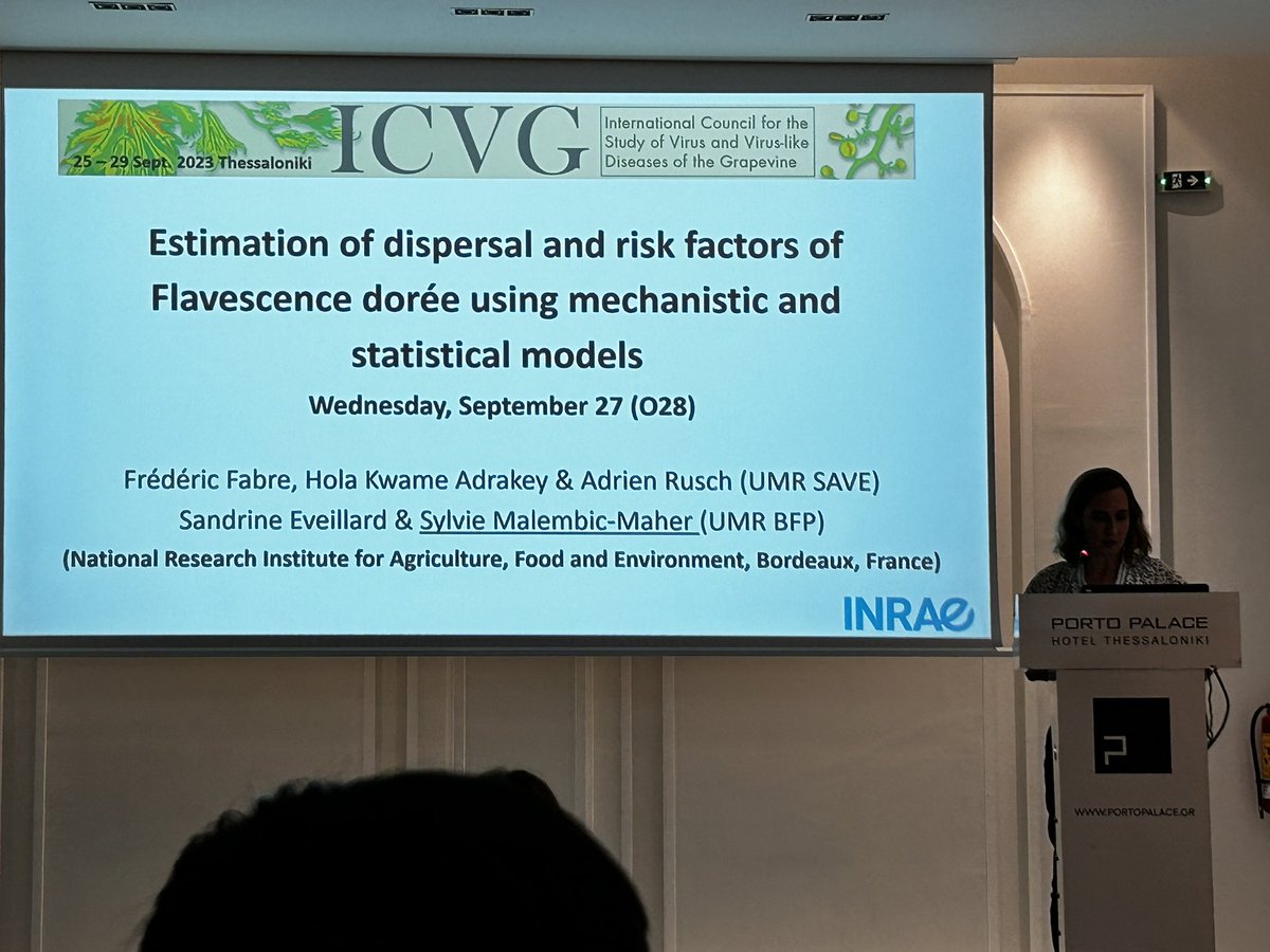 GianfRomanazzi's tweet photo. Sylvie #Malembic-#Maher report that the infection of #Flavescence #doreé mediated by #Scaphoideus #titanus in #French #vineyards occurs more frequently within 12 meters #ICVG2023 https://t.co/gihM1luQi5