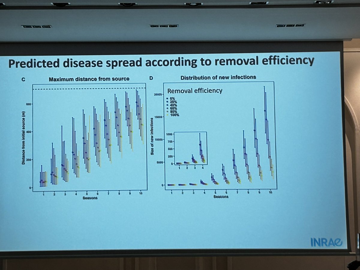 GianfRomanazzi's tweet photo. Sylvie #Malembic-#Maher report that the infection of #Flavescence #doreé mediated by #Scaphoideus #titanus in #French #vineyards occurs more frequently within 12 meters #ICVG2023 https://t.co/gihM1luQi5