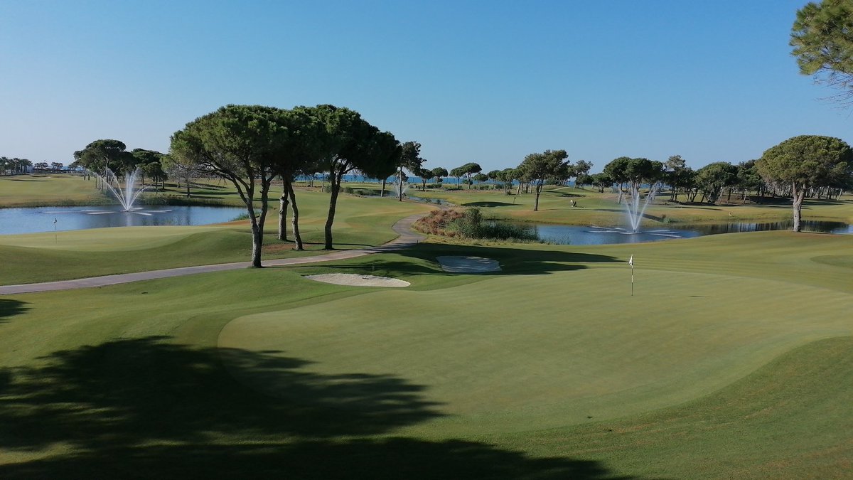 Craig Brennan tweet media