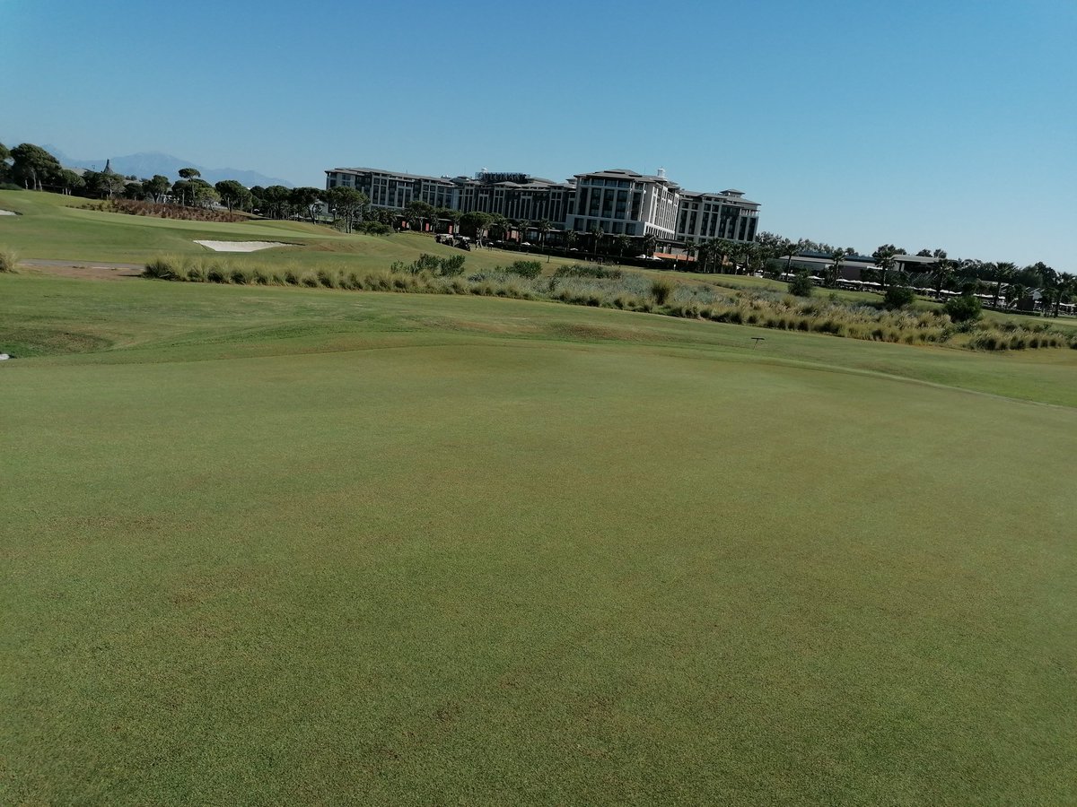 Craig Brennan tweet media