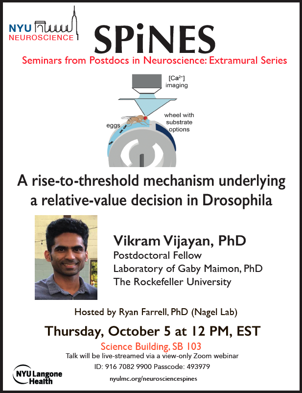 NYULH_Neuro's tweet photo. ‼️🧠Next week, Vikram Vijayan @vikram0285 of The @RockefellerUniv will kick off our NYU SPiNES series! We look forward to hearing more about his latest work on October 5!

Learn more about the series here: https://t.co/OZXKN410RF https://t.co/9rJ88dExL8