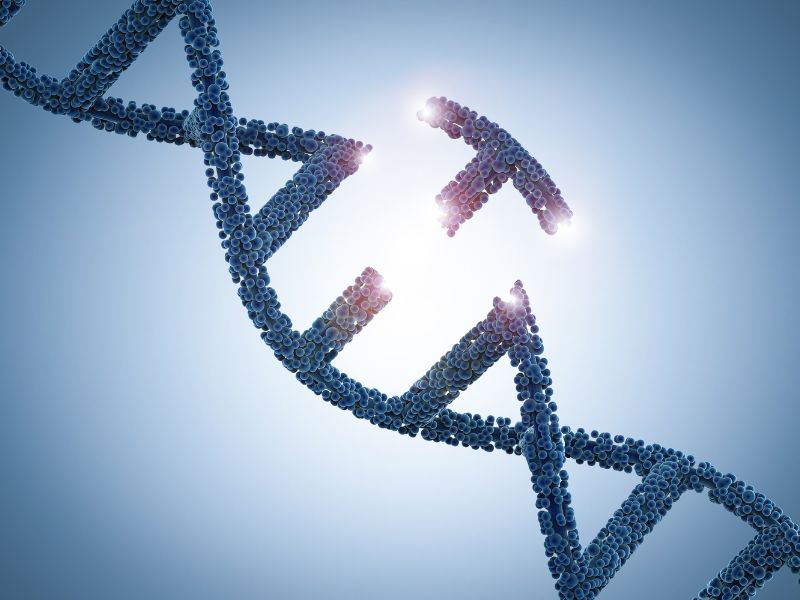 FASEBorg's tweet photo. Join FASEB for DNA Damage and Repair in the Brain on October 18. This informative FREE online conference on how DNA damage and dysfunctional DNA repair may contribute to neurodegenerative diseases. @LHSanders14
Reserve your spot: https://t.co/TGKj9zOhFX https://t.co/ZIRSMNFzdl
