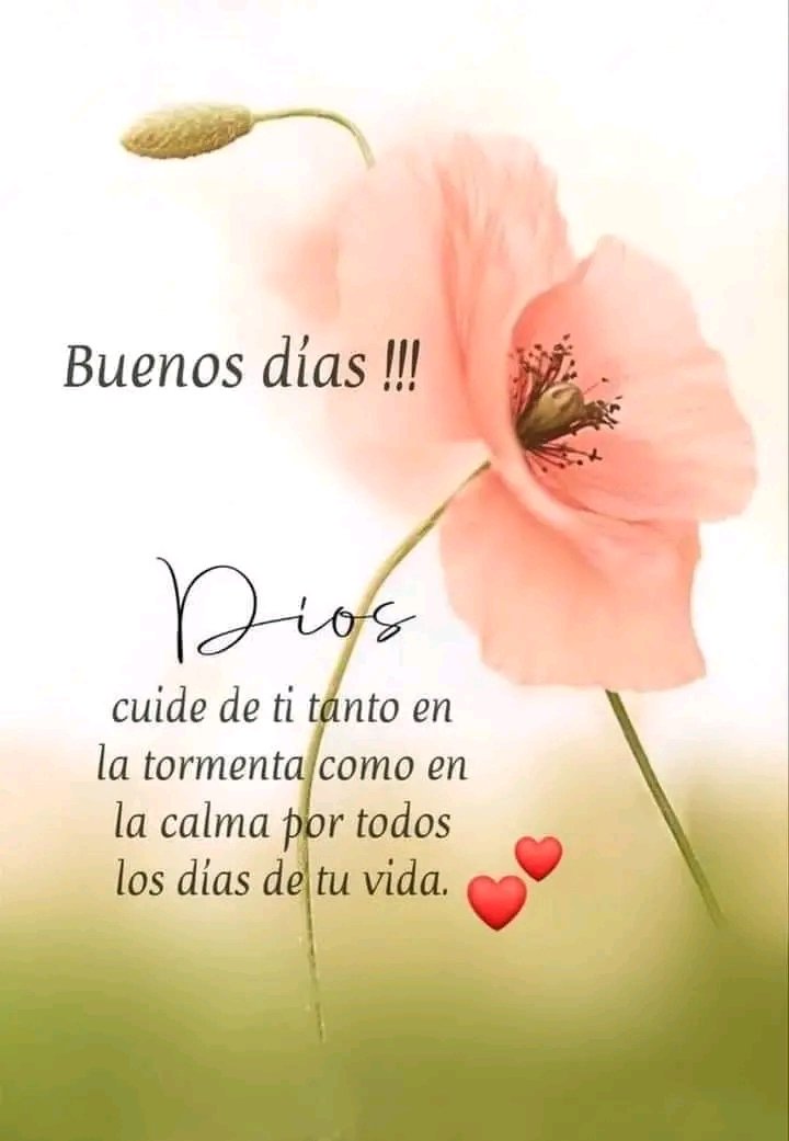 Rosa De Jesús (@rosa_galindo_) on Twitter photo 