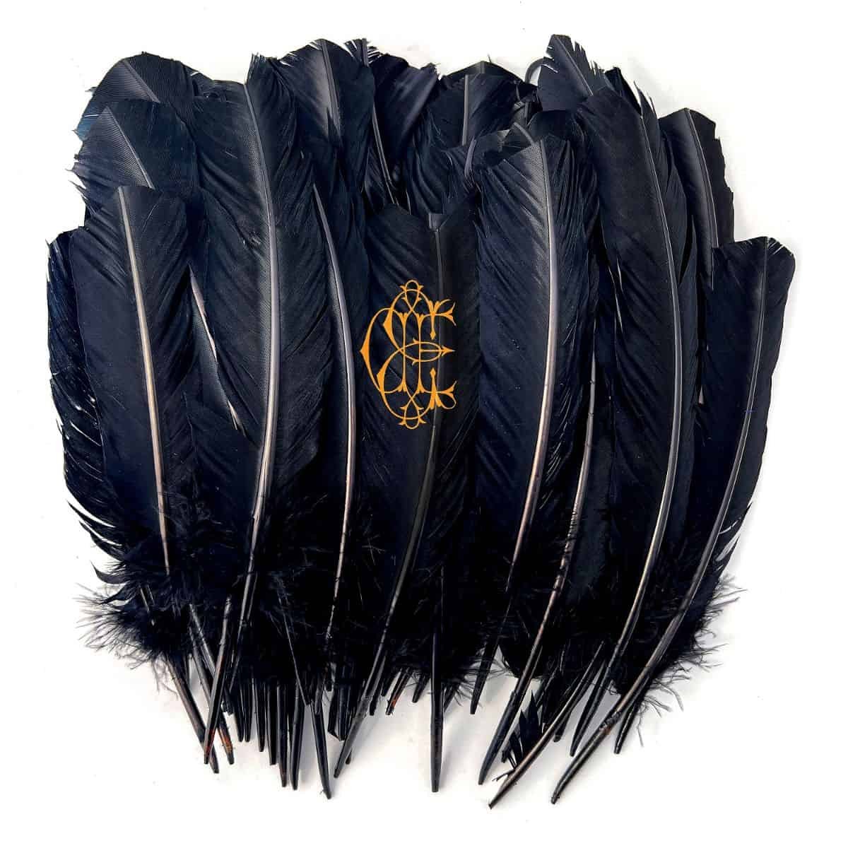 Norman Records (@normanrecords) on Twitter photo JUST IN: 'Hyacinth' by David Eugene Edwards
David Eugene Edwards of gothic country groups 16 Horsepower and Wovenhand lays down the first solo work under his own name.
<a href="/WovenHandBand/">D.E.E/Wovenhand</a>
<a href="/sargenthouse/">Sargent House</a>
normanrecords.com/records/199025… JUST IN: 'Hyacinth' by David Eugene Edwards
David Eugene Edwards of gothic country groups 16 Horsepower and Wovenhand lays down the first solo work under his own name.
<a href="/WovenHandBand/">D.E.E/Wovenhand</a>
<a href="/sargenthouse/">Sargent House</a>
normanrecords.com/records/199025…