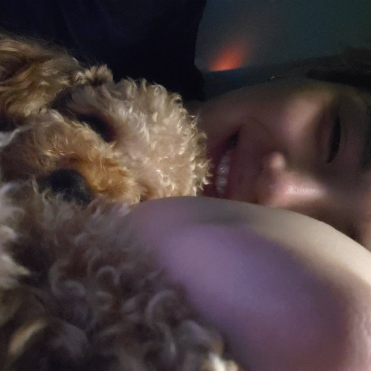 vminiecats's tweet photo. — #SUGA habló de Holly en una reciente entrevista. 

🐱“En realidad, Holly no es mi perro, es el perro de mis padres, así que no lo he visto desde la última vez que fui a Daegu. Holly se asusta fácilmente. Cuando salimos a caminar y ve a un extraño, un perro o gato desconocido + https://t.co/Ou5PLy11rF