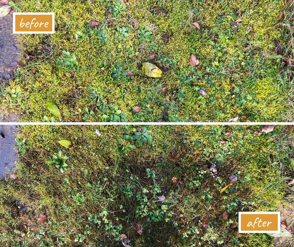 Moss taking over your lawn? Our iron based moss treatment will start working in minutes, turning your moss black as it dehydrates. 
More information can be found at our website: lawn-tech.co.uk/.../annual-law…

#mosscontrol #autumnlawncare #lawncaretips