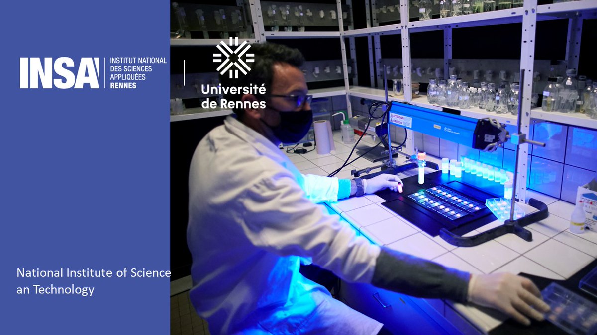 From 3:00 to 6:00 PM <a href="/INSA_Rennes/">INSA Rennes</a> welcomes their partners on the "Higher Education in Rennes" booth #B11