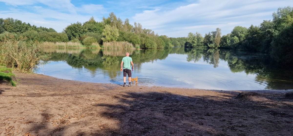 anjohejowi's tweet photo. #teamgraaf en de baasjes deden weer ff een mooi ommetje in Heesch. Het weer is nog steeds zo fijn. #losloopgebied https://t.co/SRDA6z5Y3D