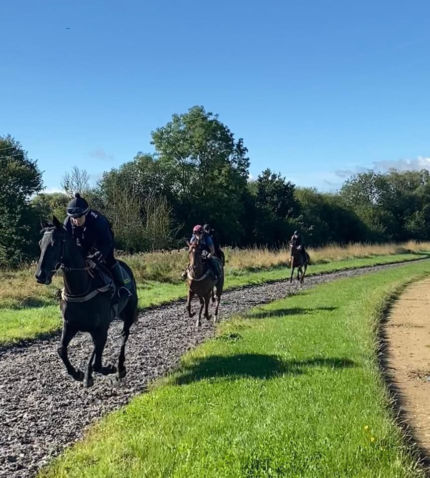 🌟 Join our team at Richard Phillips Racing in beautiful Gloucestershire! 🌟 FULL-TIME RIDER / RACING GROOM VACANCY We are looking for an experienced rider to join our fun team at Adlestrop Stables. More details ➡️ richardphillipsracing.com/vacancies/