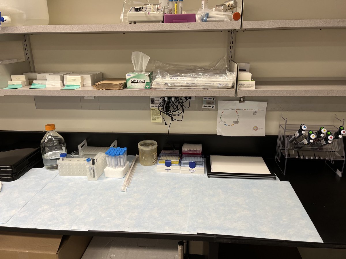 KabrajiLab (@kabrajilab) on Twitter photo Dedicated #CyCIF station? Oh yes!
<a href="/RoswellPark/">Roswell Park</a> <a href="/SKabrajiMD/">Sheheryar Kabraji</a> @HiTSatHarvard <a href="/JiaRenLin/">Jia-Ren Lin</a> @SantagataLab Dedicated #CyCIF station? Oh yes!
<a href="/RoswellPark/">Roswell Park</a> <a href="/SKabrajiMD/">Sheheryar Kabraji</a> @HiTSatHarvard <a href="/JiaRenLin/">Jia-Ren Lin</a> @SantagataLab