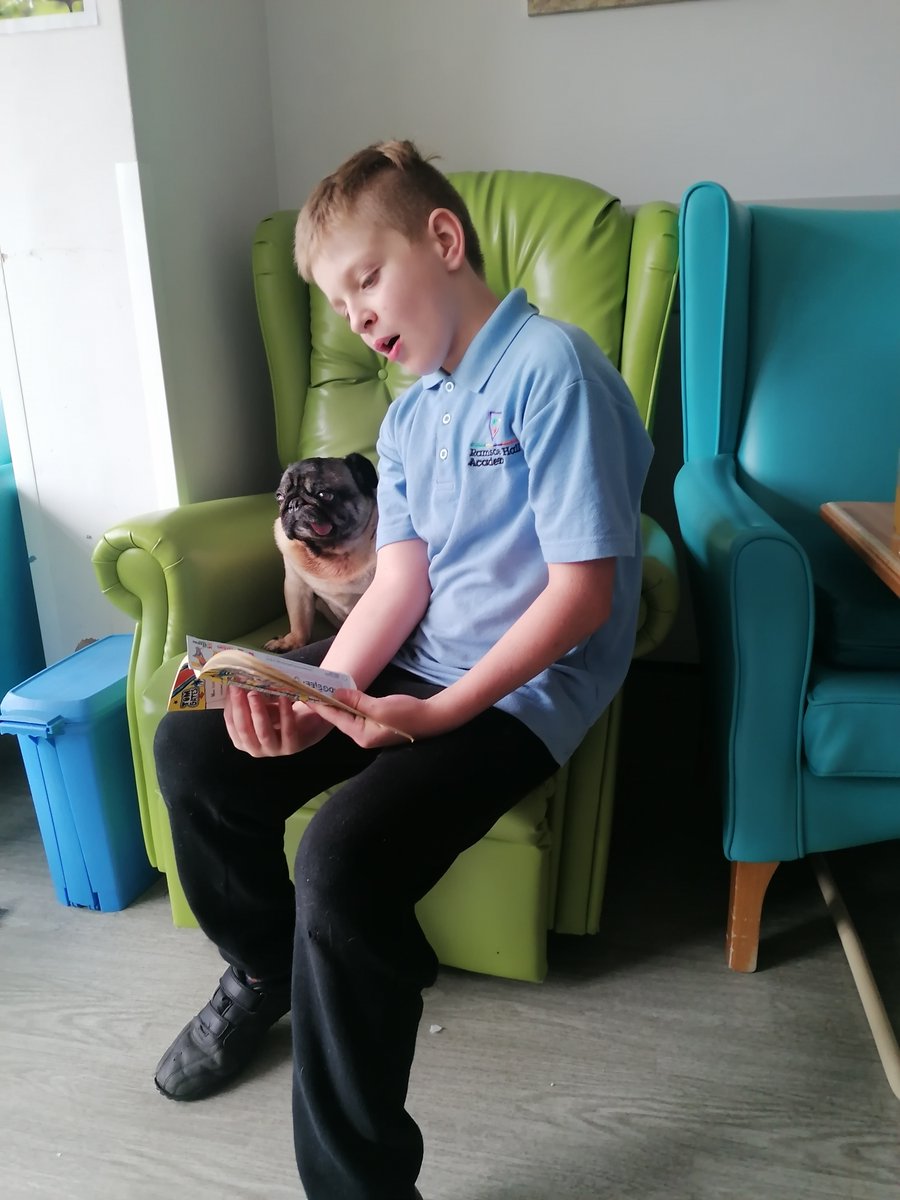 RamsdenHall's tweet photo. Another lovely visit today at the Care Home. The students found a new reading dog called Albert the Pug 📚📖🐶 https://t.co/7uKEAvHr36