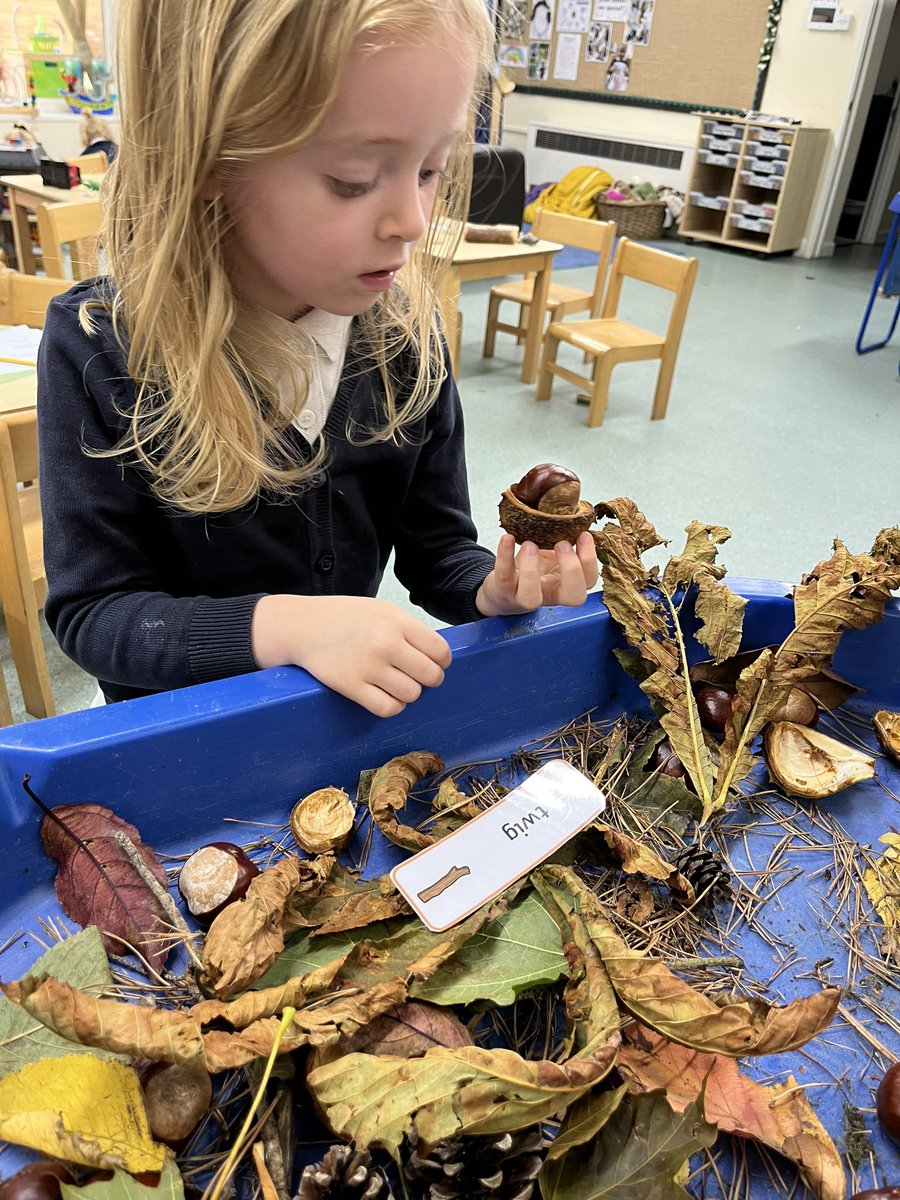 This afternoon we went on a walk around the school grounds to explore signs of autumn! We collected conkers, leaves, sticks and pinecones 🍁 We came back and put everything we collected into the tuff tray to investigate 🤩 @WybertonPrimary @InfinityAcad