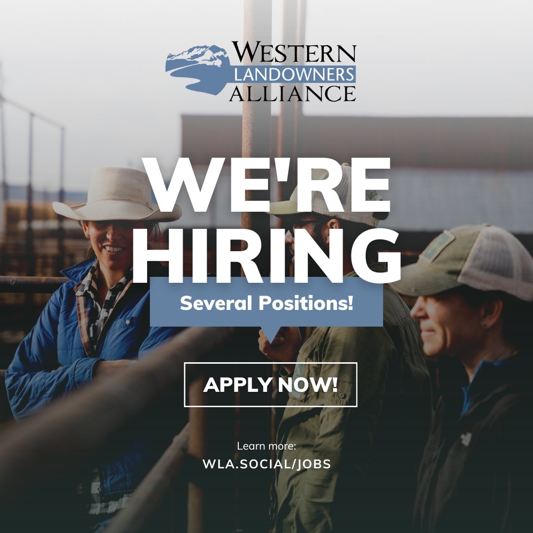 VoiceofWLA's tweet photo. ICYMI: The team at Western Landowners Alliance is growing! Right now we are hiring for several positions!

Find the details and apply here: https://t.co/9crO5ZArfE https://t.co/YGQQAYMkVc