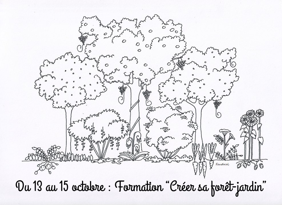 [Du 13 au 15 octobre : Créer sa forêt-jardin] Quelques places restent disponibles pour cette formation en collaboration avec Mathieu Foudral.

Venez profitez d'un support de formation vivant de bientôt 10 ans !

#foretjardin #agroforesterie

formation.terre-humanisme.org/calendrier/cre…