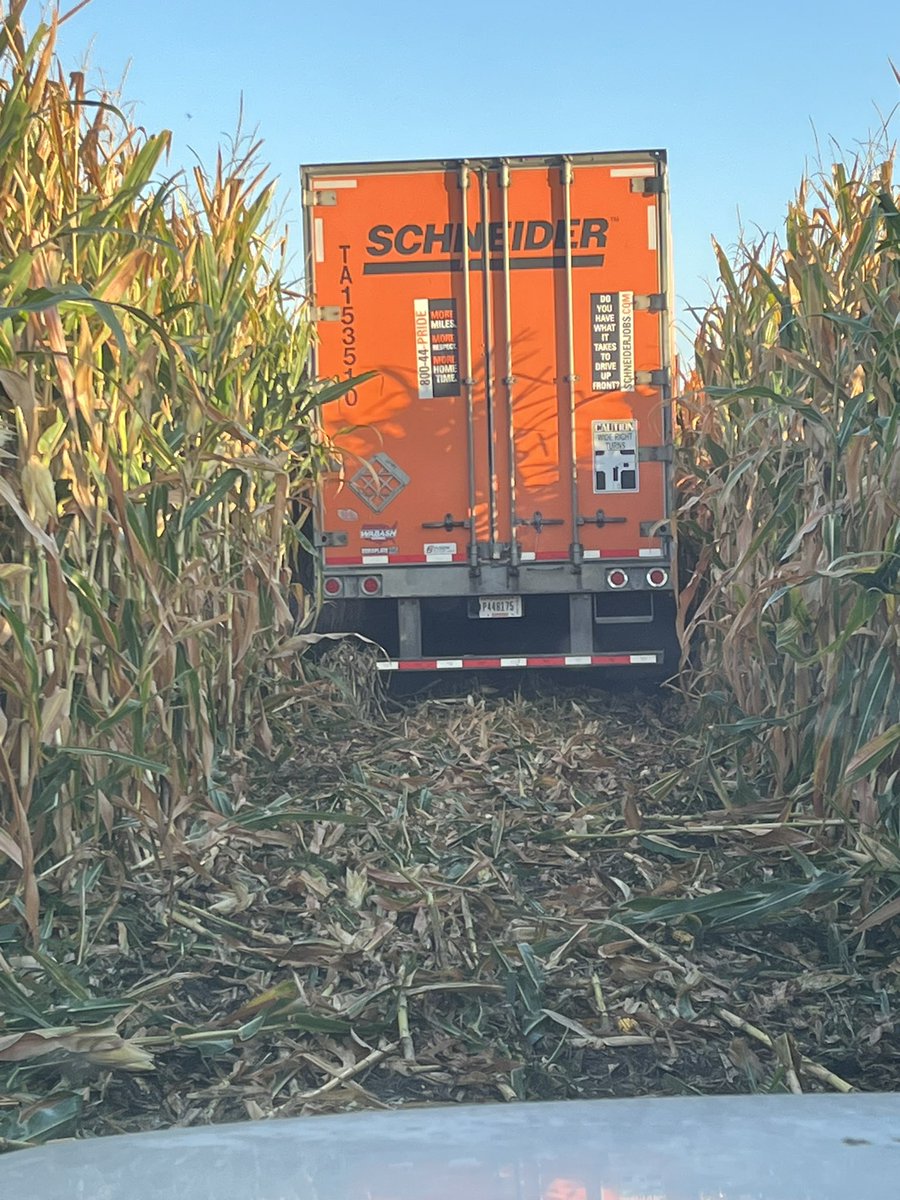 I don’t remember planting any  Schneider Hybrids this year. #harvest23 🤘🏼