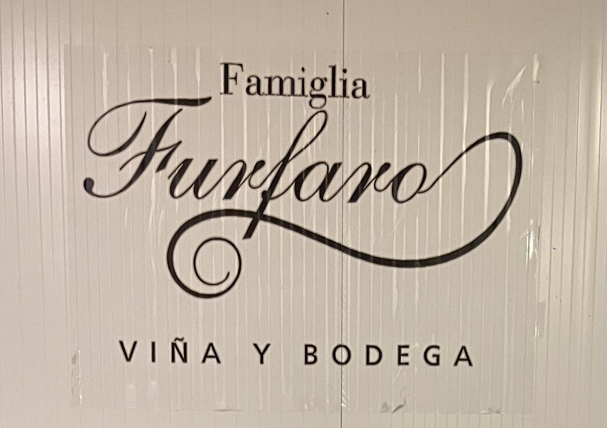 nottjuliatattoo's tweet photo. encontramos la bodega de #CarolinaFurfaro @luzu_tv @NicolasOcchiato #NadieDiceNada https://t.co/ILoxtmOzu8