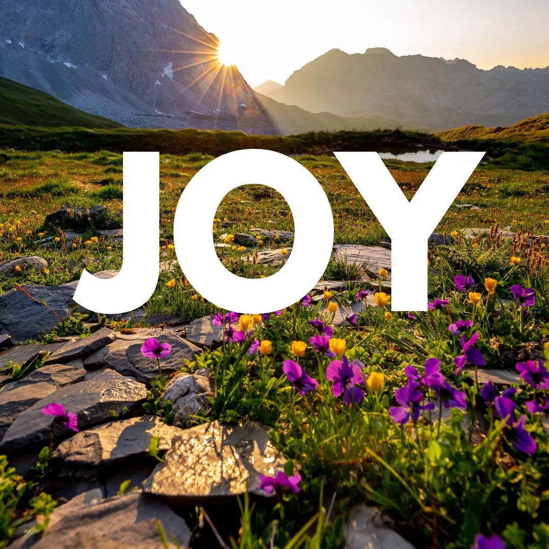 shār snacks tweet media