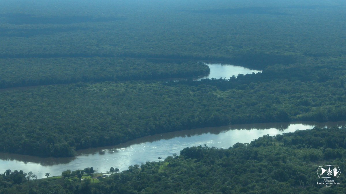 AmazonTeamBR's tweet image. Nesta quarta, 27, seguimos vigilante e mobilizados! Estão em pauta no @SenadoFederal dois projetos que ameaçam os #ecossistemas e os #povos da #Amazônia.

📷 Ignacio Giraldo