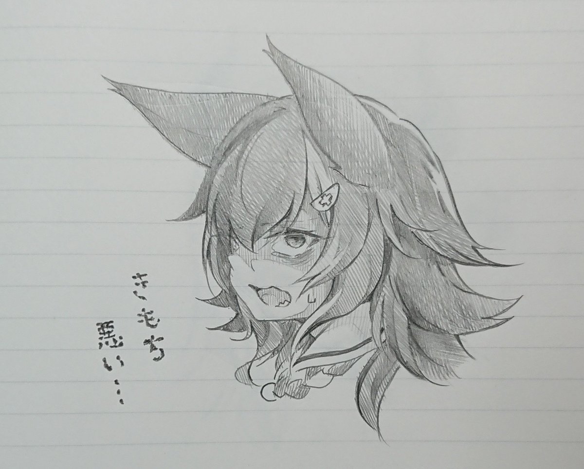落描きで「照れ顔ノエル団長」「一定数の人に刺さりそうなみおしゃ」「おこなちょこ先」を描いてみました!! 