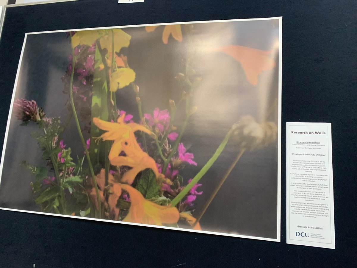 Sharoncunningh's tweet photo. Having a great afternoon at the DCU Research On Walls competition. @DCU_IoE_PGSR @DCUGradStudies @DaireKeogh @fiona_king_ @gillian_purcell https://t.co/wOx23vXZLQ