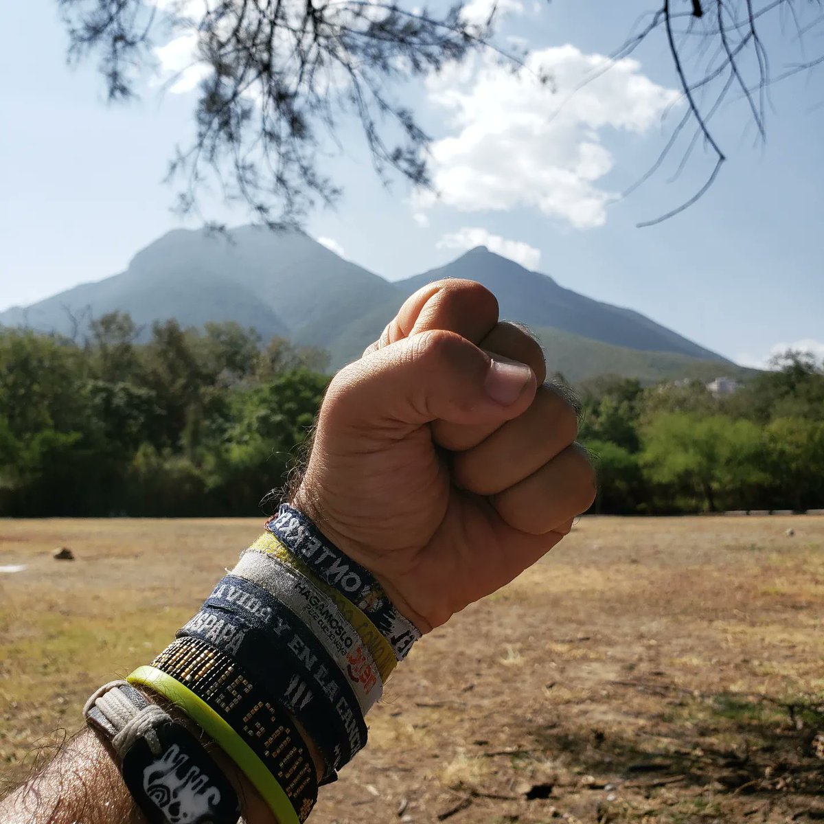 lozanohector's tweet photo. #AmorYPaz
Redefir el individualismo: no como un obstáculo…
… sino como una base sólida para #preparArte y ofrecer lo colectivo
#EnLaVidaYEnLaCancha
Reconocer que al cultivar el individuo…
… fortalecemos al equipo
Impulsar el éxito colectivo es más allá de las expectativas
#XO https://t.co/GppQjEZbLK