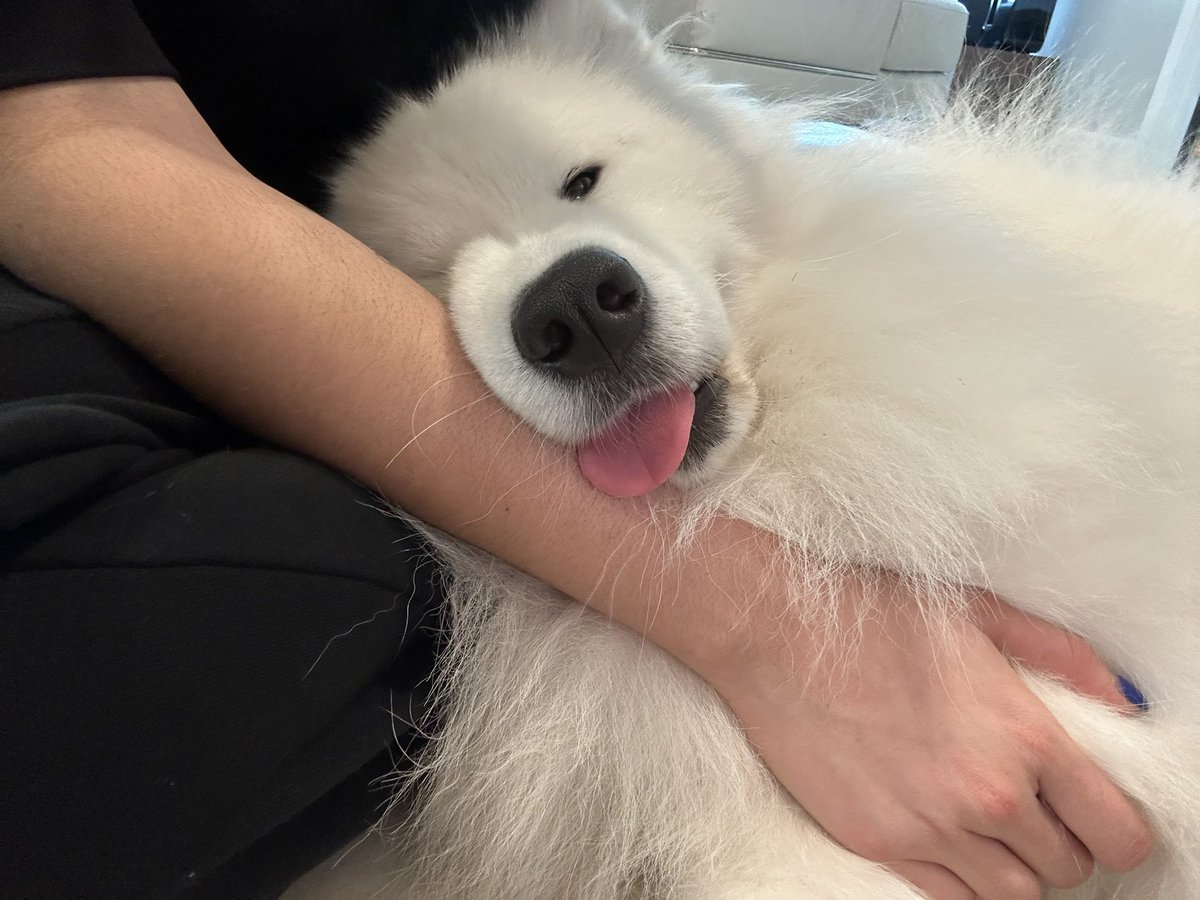 troublemakervb's tweet image. 