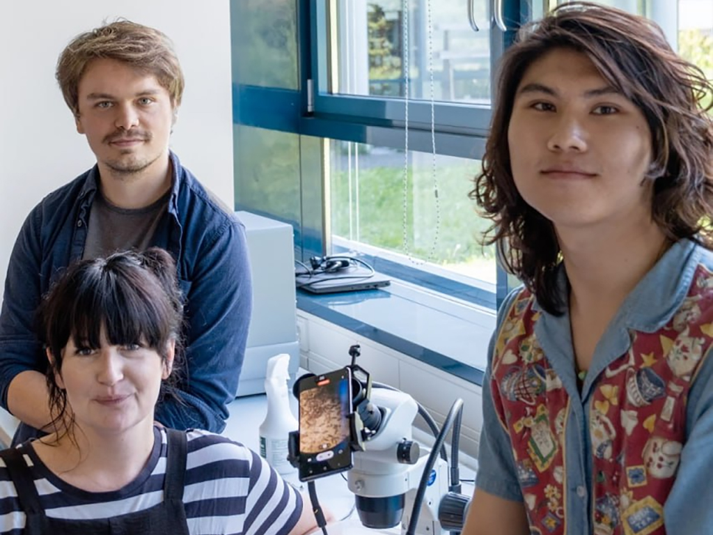 Science meets art! <a href="/ZimaiLi/">Zimai Li 荔枝麦</a> and @picreet from the <a href="/YukoUlrich/">Yuko Ulrich</a> lab teamed up with <a href="/KTatsachen/">kuenstlerische_tatsachen</a> artist in residence <a href="/kathrinhunze/">ja!</a>: Her multi-media installation “Two legs or six: dec-ANT-structing social behavior” investigates parallels between the clonal raider ant and humans.