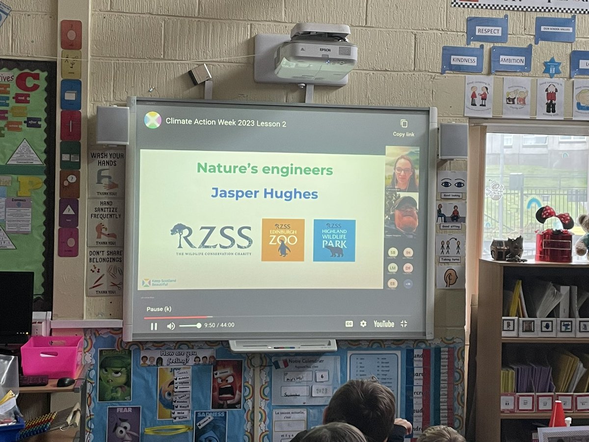 MissHurrenHPS's tweet photo. We took part in Lesson 2 for Climate Action Week 2023 from #keepscotlandbeautiful and learned all about the importance of nature’s own engineers! 🐝 🪰 🦫 This was very interesting and we learned lots about the importance of these insects/animals. https://t.co/VbDSH4IKZS